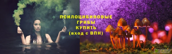 гашик Алексеевка